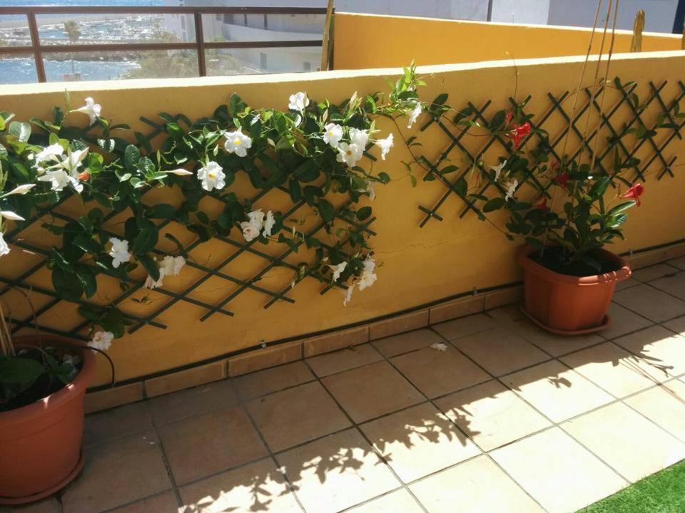 431 - Edif Aguamarina - Vacation Rental Home In The Coast Line Of Golf Del Sur San Miguel de Abona Zewnętrze zdjęcie