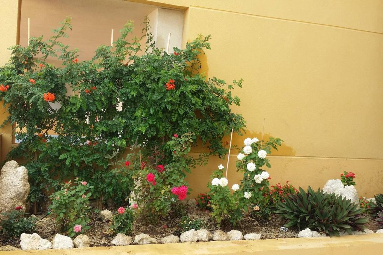 431 - Edif Aguamarina - Vacation Rental Home In The Coast Line Of Golf Del Sur San Miguel de Abona Zewnętrze zdjęcie
